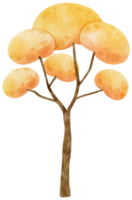 albero autunnale con foglie gialle illustrazione ad acquerello per elemento decorativo png