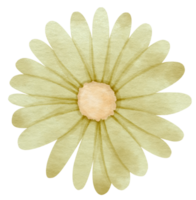 groene bloem aquarel geschilderd voor decoratief element png