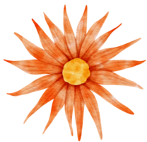 orange blumenaquarell gemalt für dekoratives element png
