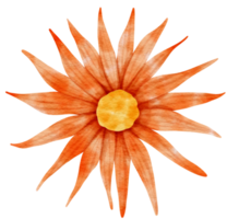 Orange flower watercolor painted for Decorative Element png