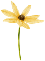 Yellow flower watercolor style for Decorative Element png