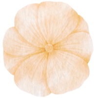 White flower watercolor painted for Decorative Element png