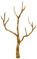 illustrazione dell'acquerello dell'albero secco dell'albero morto senza foglie per elemento decorativo png