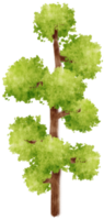 ilustración de acuarela de árbol para elemento decorativo png