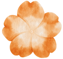 Orange flower watercolor painted for Decorative Element png