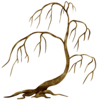 Blattloser toter Baum trockene Baumaquarellillustration für dekoratives Element png