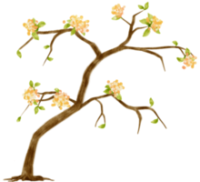 árbol de otoño con flores amarillas ilustración acuarela para elemento decorativo png