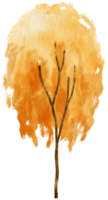 árbol de otoño con hojas amarillas ilustración acuarela para elemento decorativo png