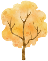 Autumn Tree with Yellow leaves watercolor illustration for Decorative Element png