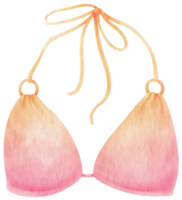 style aquarelle de maillots de bain bikini rose pour élément décoratif png