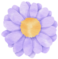 Purple flower watercolor painted for Decorative Element png