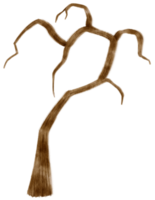 illustrazione dell'acquerello dell'albero secco dell'albero morto senza foglie per elemento decorativo png