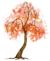 ilustración de acuarela de árbol de otoño para elemento decorativo png