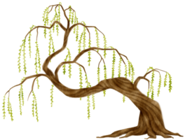 ilustración de acuarela de árbol para elemento decorativo png