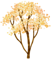 Autumn Tree with Yellow flowers watercolor illustration for Decorative Element png