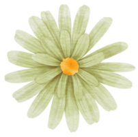 aquarelle de fleur verte peinte pour élément décoratif png