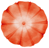 fiore rosso acquerello dipinto per elemento decorativo png