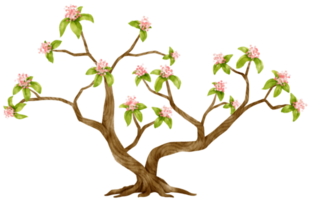 árbol de otoño con flores rosas ilustración acuarela para elemento decorativo png