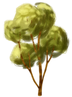 ilustración de acuarela de árbol para elemento decorativo png