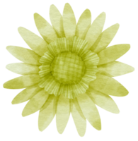 grön blomma akvarell målad för dekorativt element png