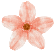 rosa blomma akvarell målad för dekorativt element png