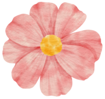 aquarela de flor rosa pintada para elemento decorativo png