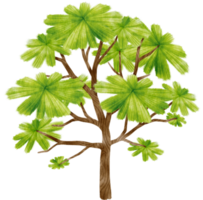 ilustración de acuarela de árbol para elemento decorativo png