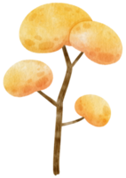 albero autunnale con foglie gialle illustrazione ad acquerello per elemento decorativo png