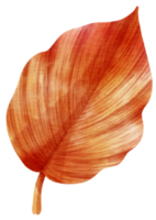 estilo aquarela de folha vermelha de outono para elemento decorativo png