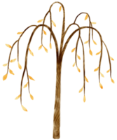 albero autunnale con foglie gialle illustrazione ad acquerello per elemento decorativo png