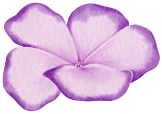 Purple Watercolor Flowers PNGs for Free Download