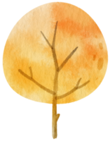 herbstbaum mit gelben blättern aquarellillustration für dekoratives element png