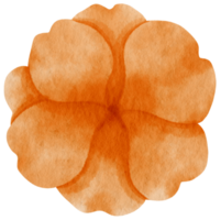 acuarela de flor de naranja pintada para elemento decorativo png
