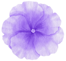 acuarela de flor morada pintada para elemento decorativo png