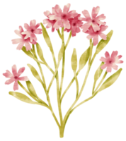 ramo de flor rosa com folhas estilo aquarela para elemento decorativo png