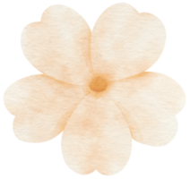 fiore bianco dipinto ad acquerello per elemento decorativo png