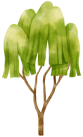 ilustración de acuarela de árbol para elemento decorativo png