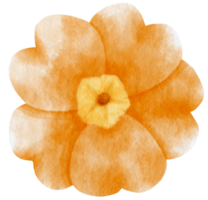 Orange flower watercolor painted for Decorative Element png