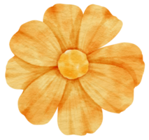 orange blomma akvarell målade för dekorativa element png