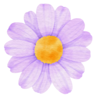 Purple flower watercolor painted for Decorative Element png