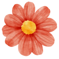 aquarela de flor vermelha pintada para elemento decorativo png