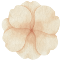 White flower watercolor painted for Decorative Element png