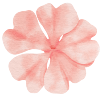 fiore rosa dipinto ad acquerello per elemento decorativo png