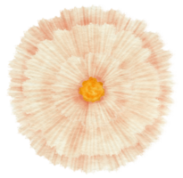White flower watercolor painted for Decorative Element png