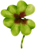 Clover leaf watercolor illustration png