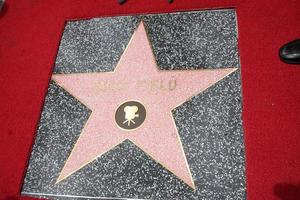 LOS ANGELES, MAY 5 - Sally Field Star at the Sally Field Hollywood Walk of Fame Star Ceremony at Hollywood Wax Museum on May 5, 2014 in Los Angeles, CA photo