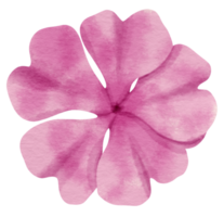 aquarela de flor rosa pintada para elemento decorativo png