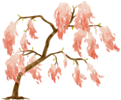 árbol de otoño con hojas rosadas ilustración acuarela para elemento decorativo png