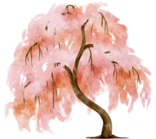 Autumn Tree with pink leaves watercolor illustration for Decorative Element png