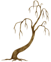 bladloze dode boom droge boom aquarel illustratie voor decoratief element png